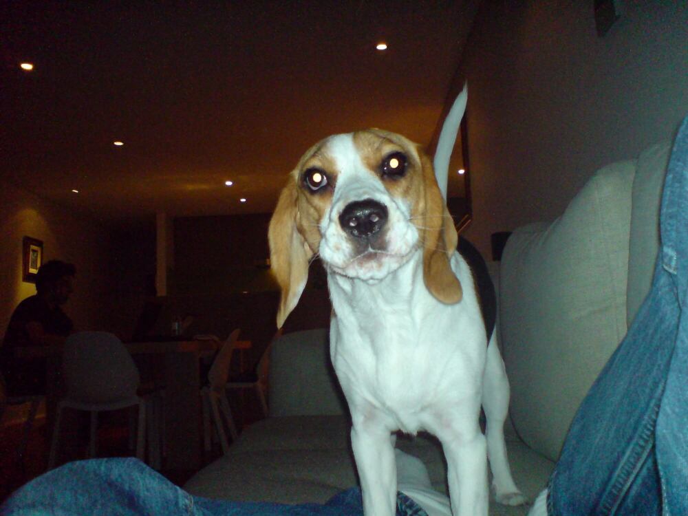 test