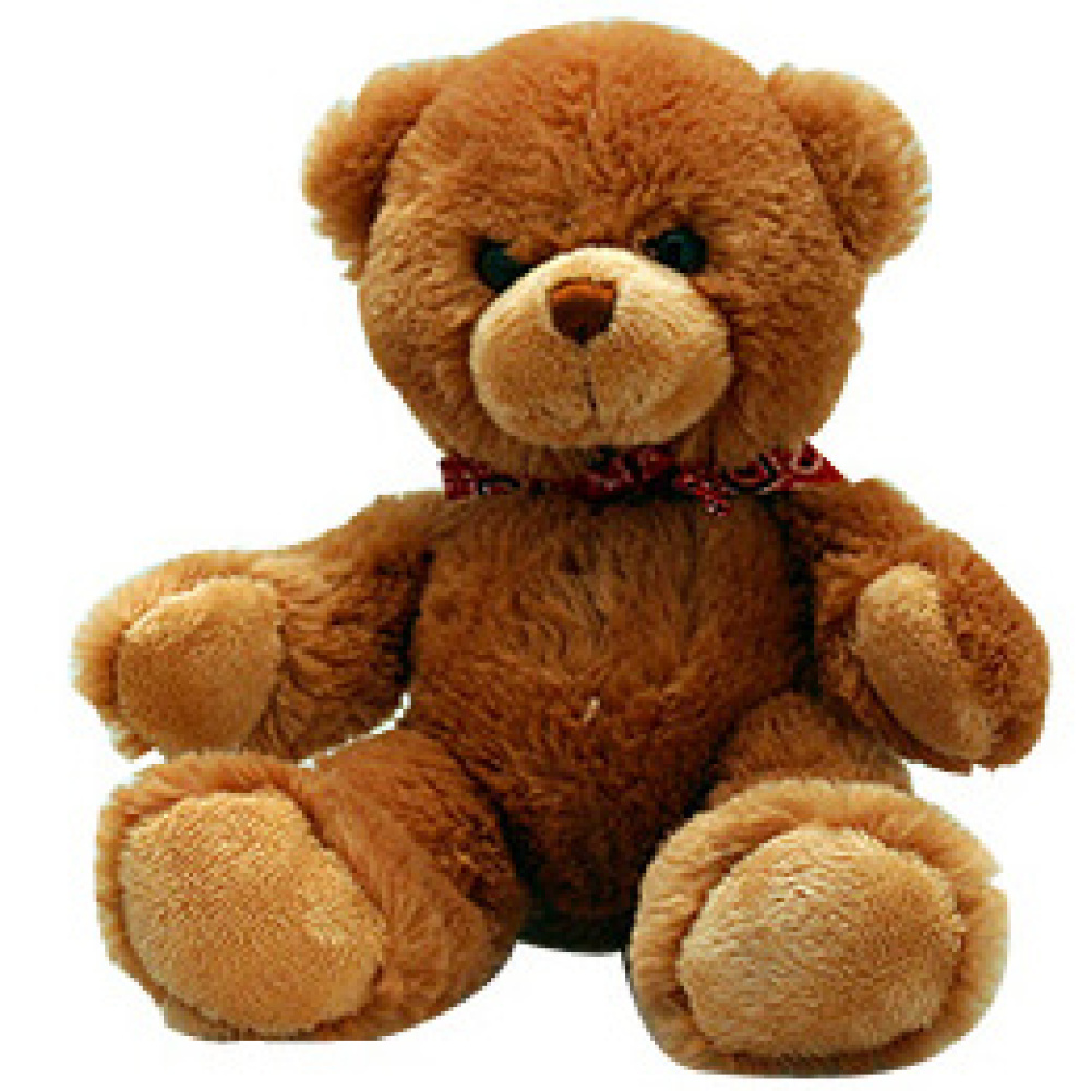 Beautiful Bear